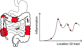 Localization of the ingestible is crucial for determining where inflammation is situated. 