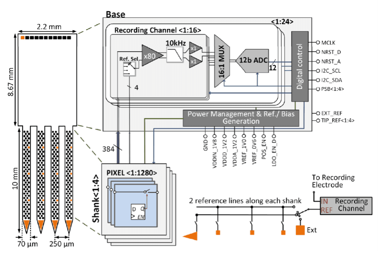 High-level architecture of the four-shank Neuropixels 2.0 probe.