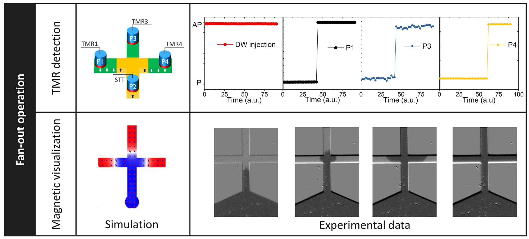 Figure 3: Demonstration of fan-out operation as observed by electrical read-out (TMR) in a cross-shaped nanoscale device, by micromagnetic simulations and by magnetic imaging techniques in microscale devices (as presented at 2021 IEDM). 