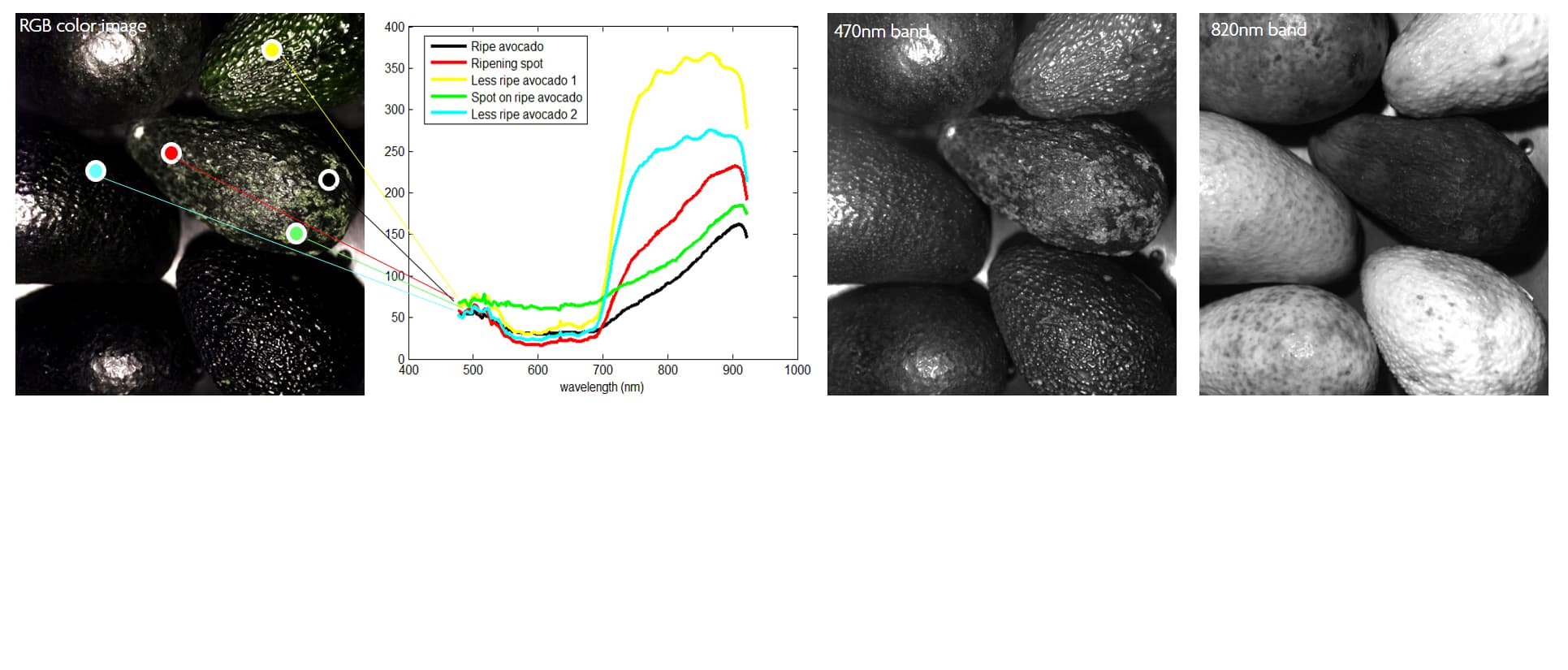 hyperspectral imaging food analysis avocados