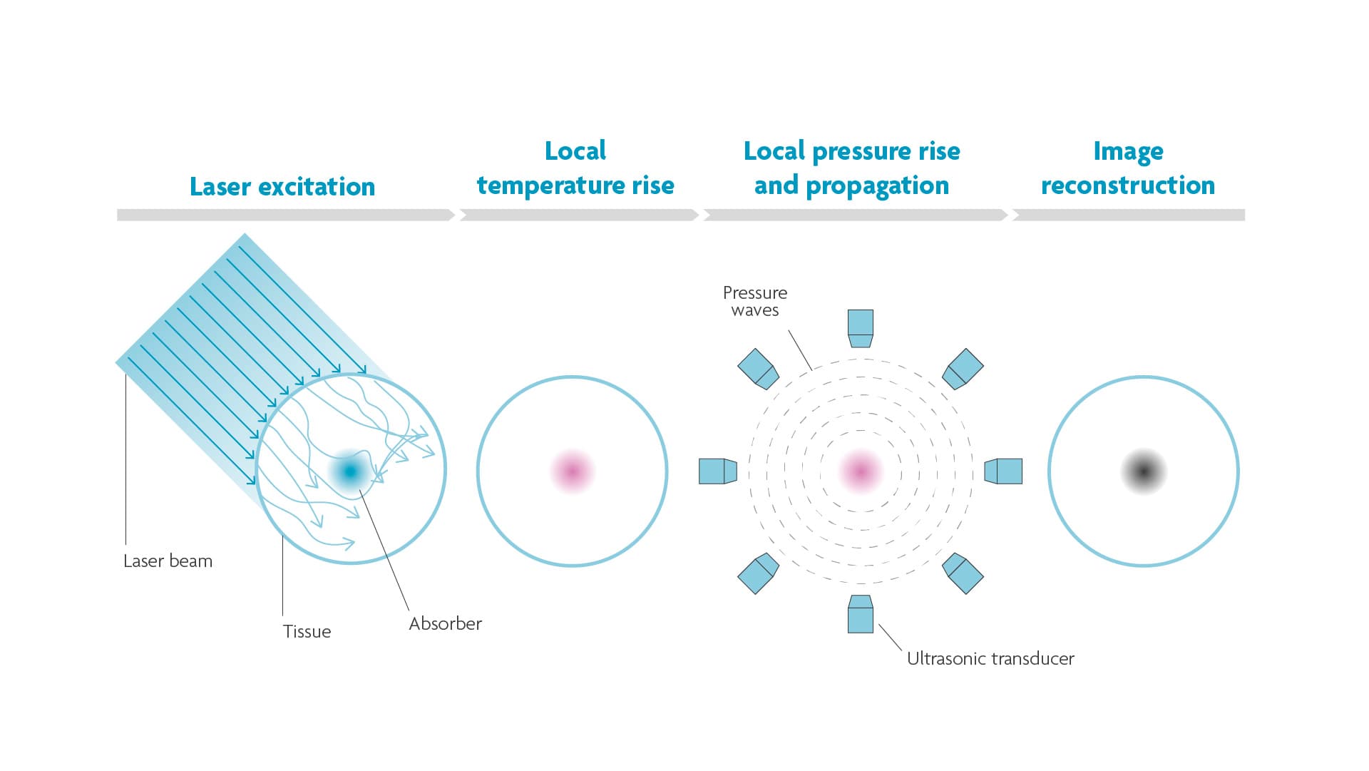 Figure 2. The photoacoustic principle. When pulses of light hit tissue, the molecules that absorb the light will expand and relax due to heat. These vibrations cause a pressure wave that can be detected and reconstructed to an image.