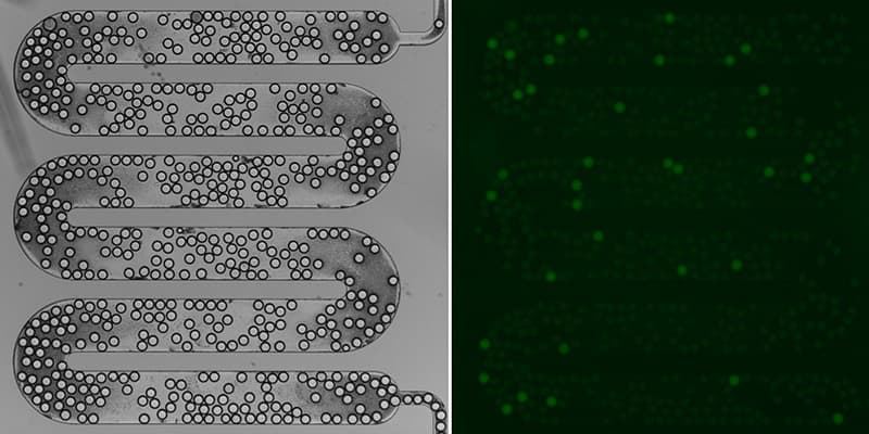 ddPCR on chip