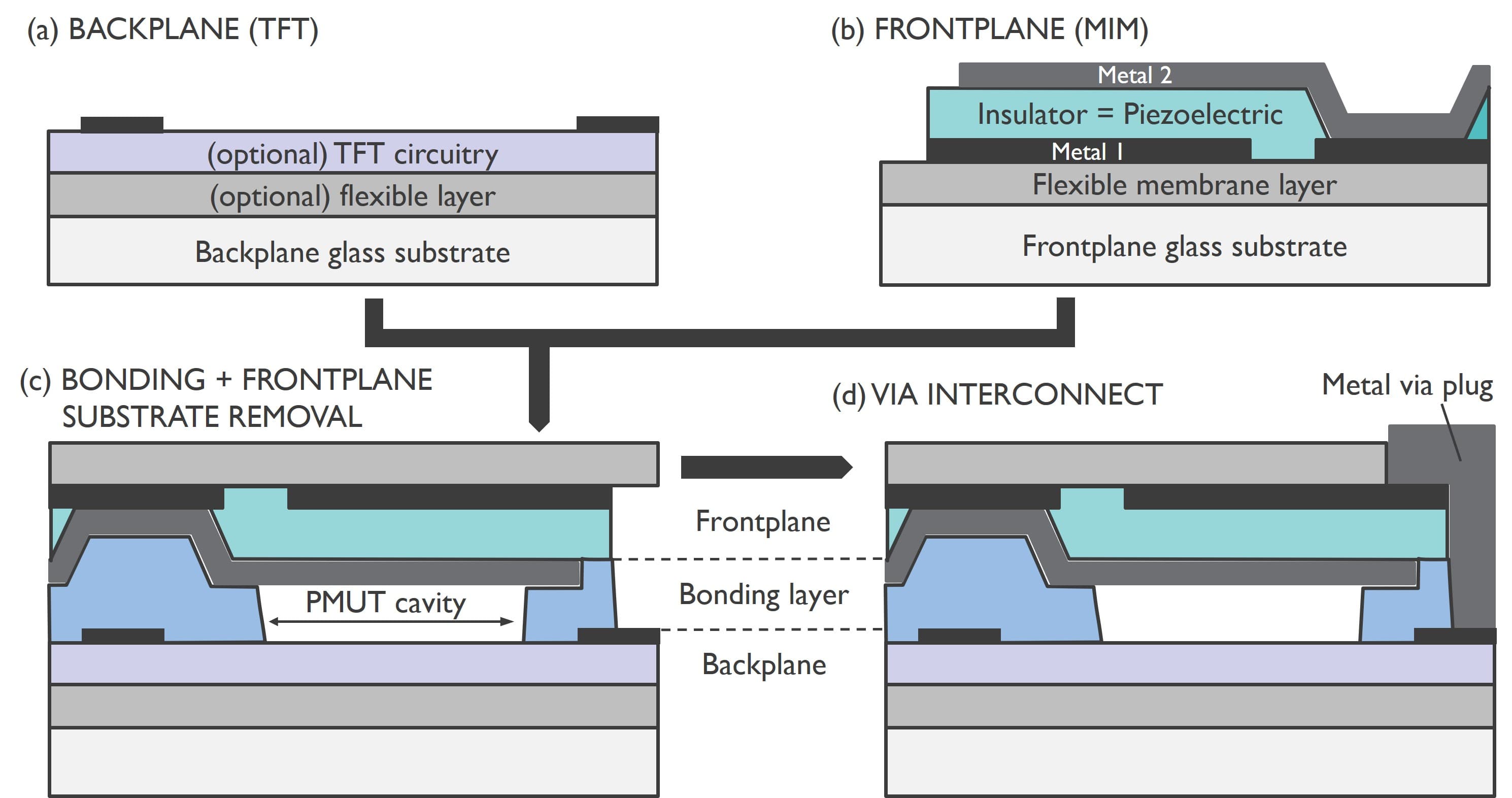 Cross-section_PMUT