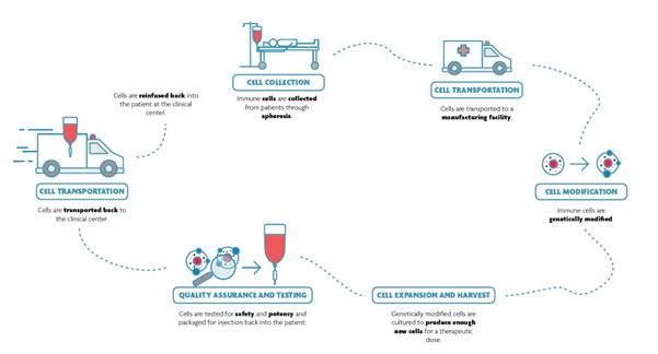 Imec Sarcura cell therapy