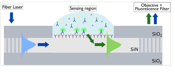 Photonics immuno-assay