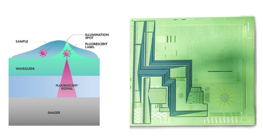 On-chip fluorescence microscope