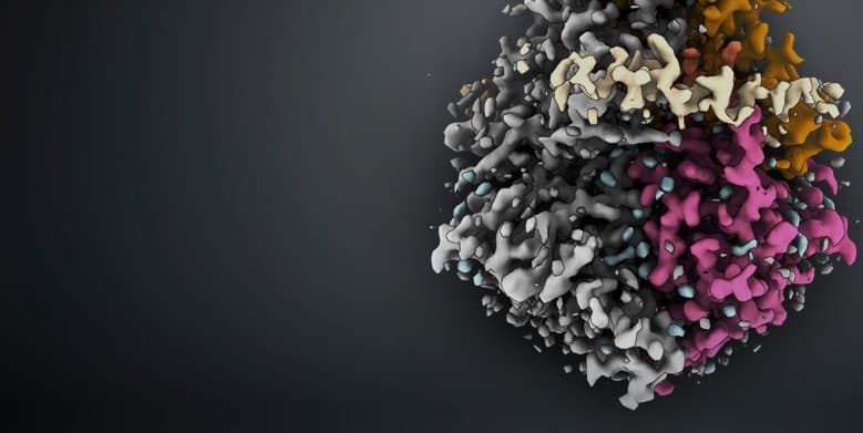 Transmission Electron Microscope image